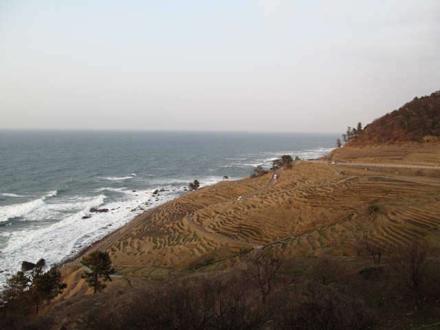 白米千枚田の景色（2013年3月）