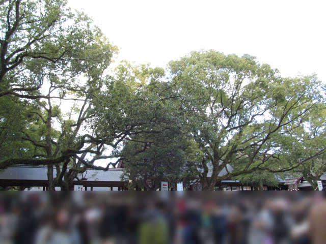 熱田神宮 本宮（左側から撮影）