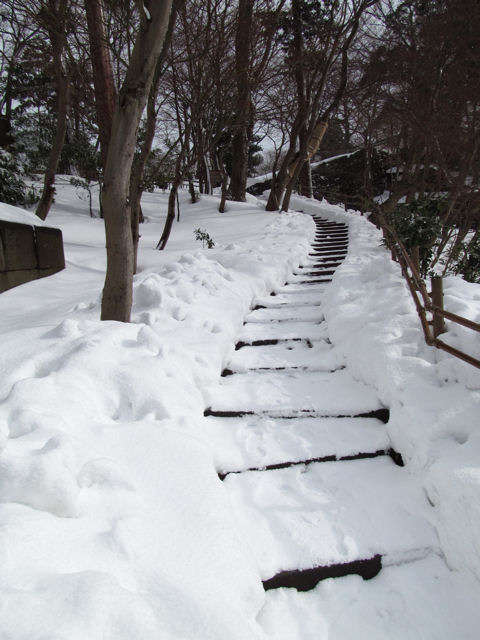 玉泉院丸庭園に続く階段（下から）